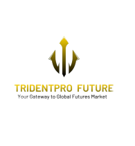 TripentPro Future Co., Ltd.